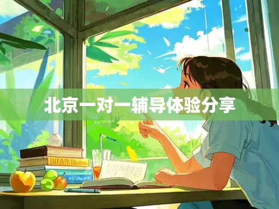 北京一对一辅导体验分享