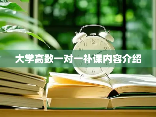 大学高数一对一补课内容介绍
