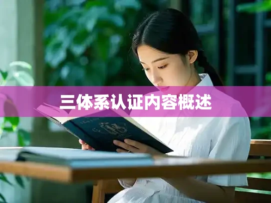 三体系认证内容概述