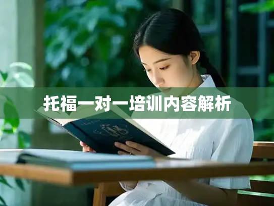 托福一对一培训内容解析