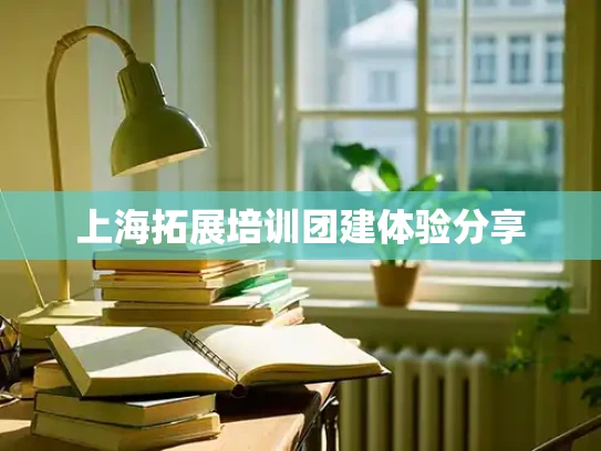 上海拓展培训团建体验分享