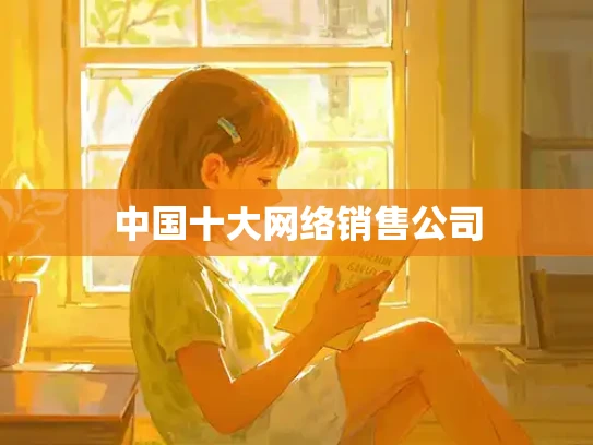 中国十大网络销售公司