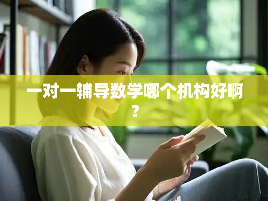 一对一辅导数学哪个机构好啊？