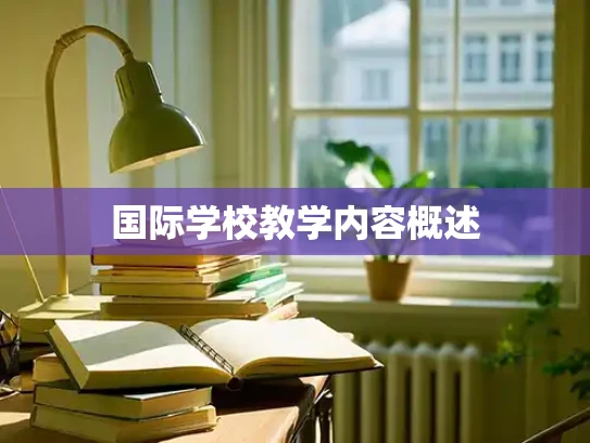 国际学校教学内容概述