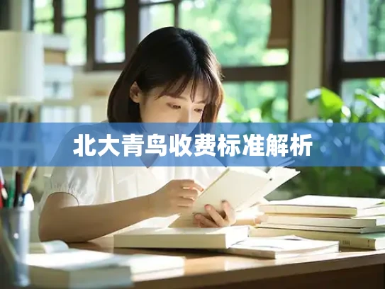 北大青鸟收费标准解析