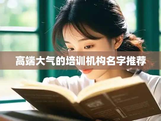 高端大气的培训机构名字推荐