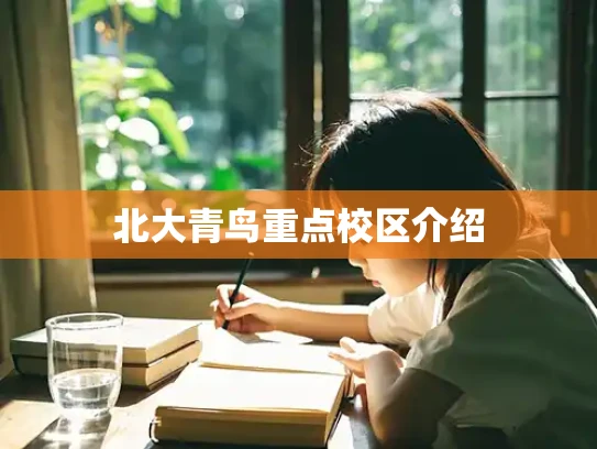北大青鸟重点校区介绍