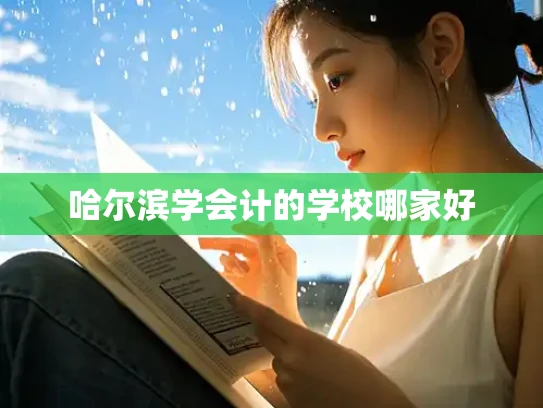 哈尔滨学会计的学校哪家好