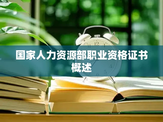 国家人力资源部职业资格证书概述