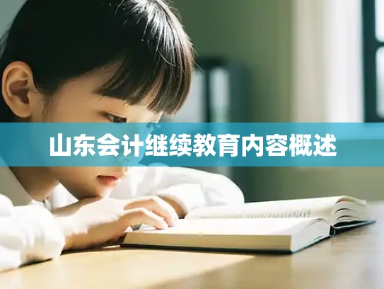 山东会计继续教育内容概述