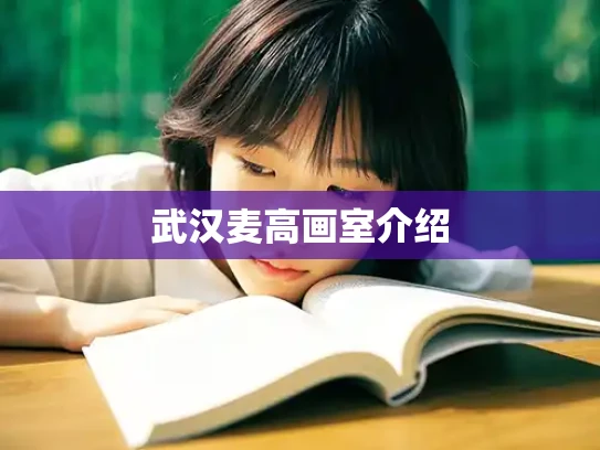 武汉麦高画室介绍