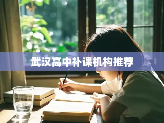 武汉高中补课机构推荐