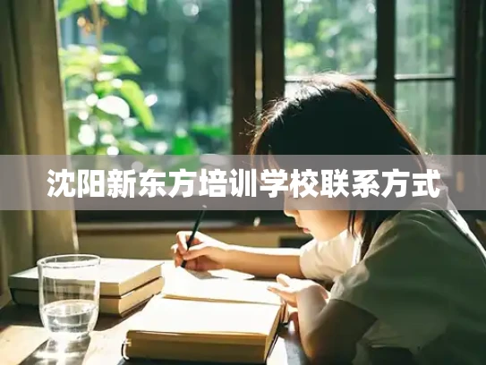 沈阳新东方培训学校联系方式