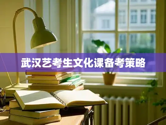 武汉艺考生文化课备考策略