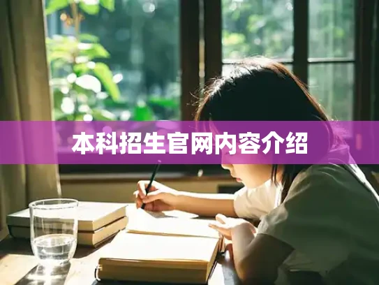 本科招生官网内容介绍