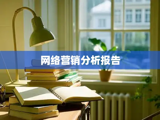 网络营销分析报告