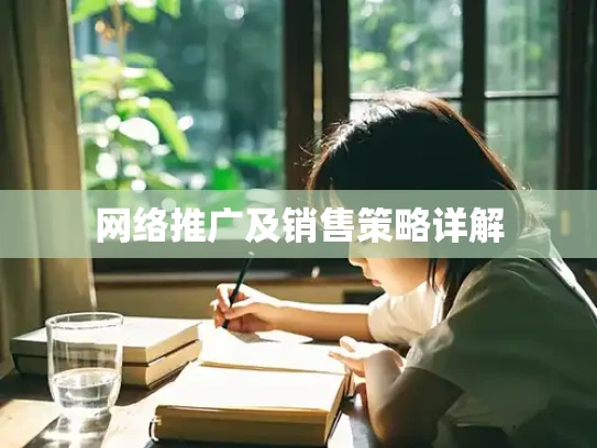 网络推广及销售策略详解