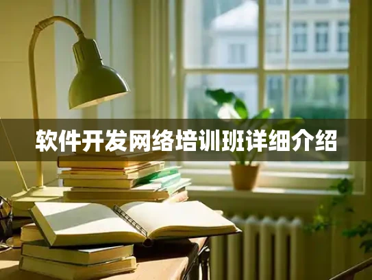 软件开发网络培训班详细介绍