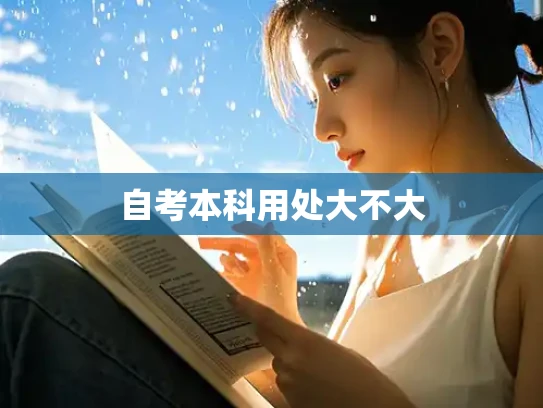 自考本科用处大不大