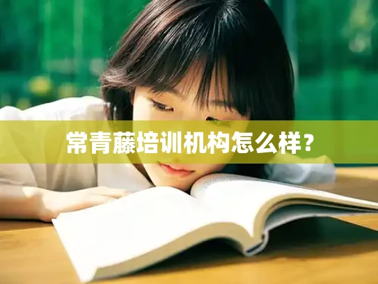 常青藤培训机构怎么样？