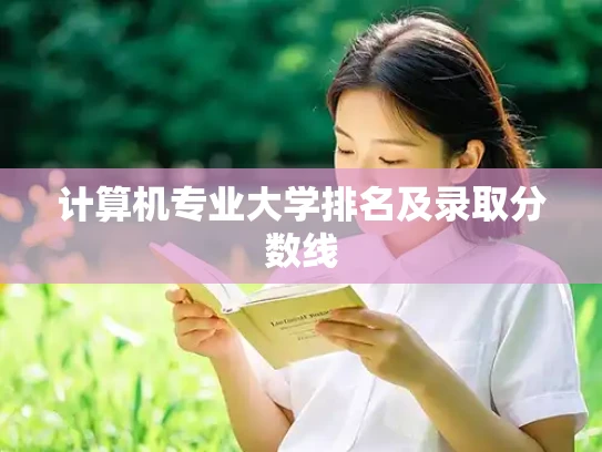 计算机专业大学排名及录取分数线