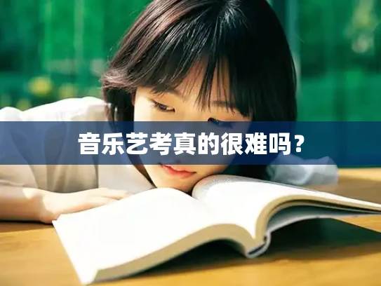 音乐艺考真的很难吗？