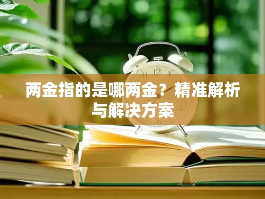 两金指的是哪两金？精准解析与解决方案