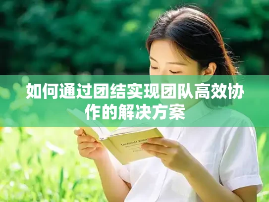 如何通过团结实现团队高效协作的解决方案