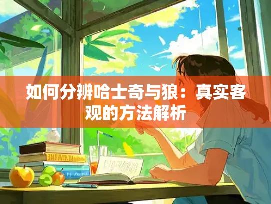如何分辨哈士奇与狼：真实客观的方法解析