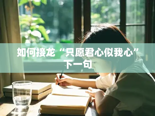 如何接龙“只愿君心似我心”下一句