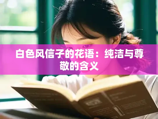 白色风信子的花语：纯洁与尊敬的含义