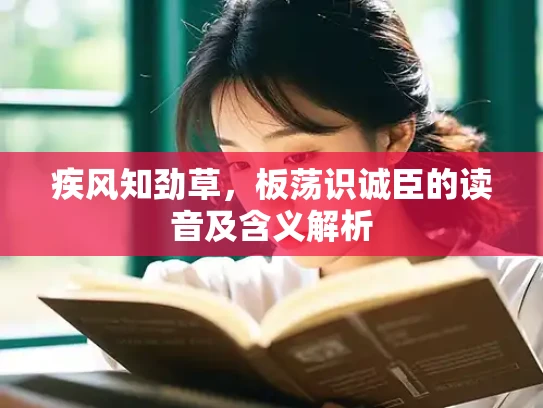 疾风知劲草，板荡识诚臣的读音及含义解析