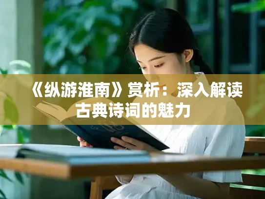 《纵游淮南》赏析：深入解读古典诗词的魅力