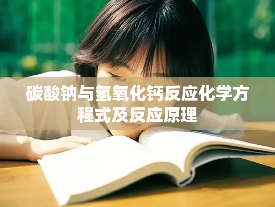 碳酸钠与氢氧化钙反应化学方程式及反应原理