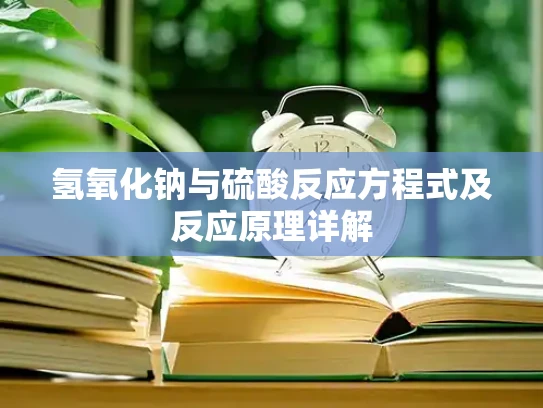 氢氧化钠与硫酸反应方程式及反应原理详解