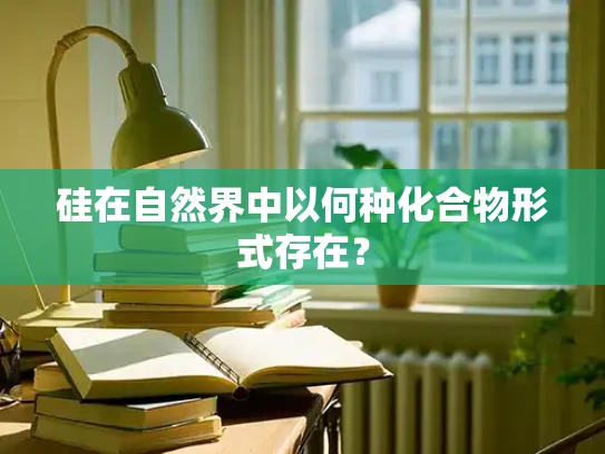 硅在自然界中以何种化合物形式存在？