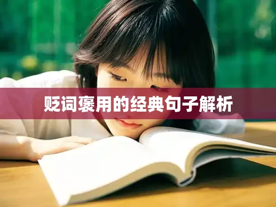 贬词褒用的经典句子解析