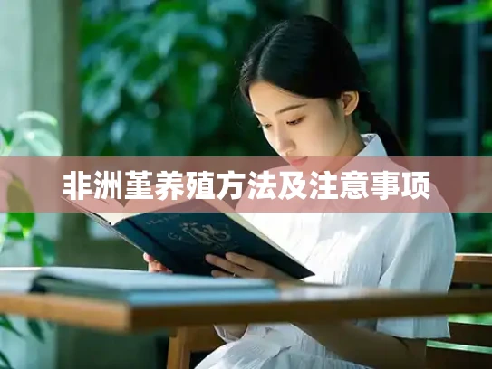非洲堇养殖方法及注意事项
