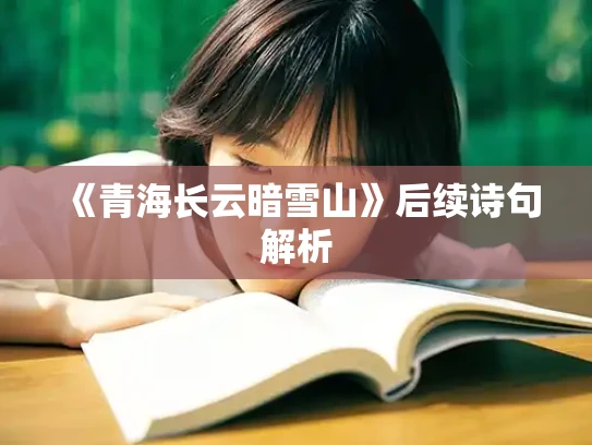 《青海长云暗雪山》后续诗句解析