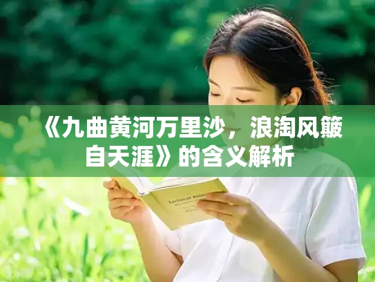 《九曲黄河万里沙，浪淘风簸自天涯》的含义解析