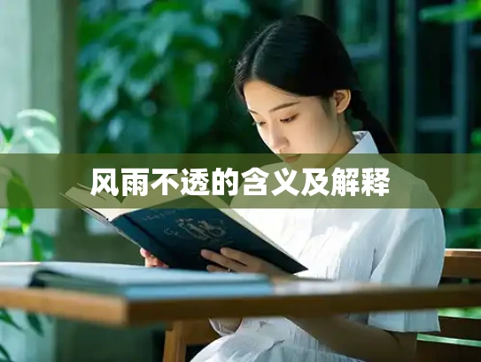 风雨不透的含义及解释